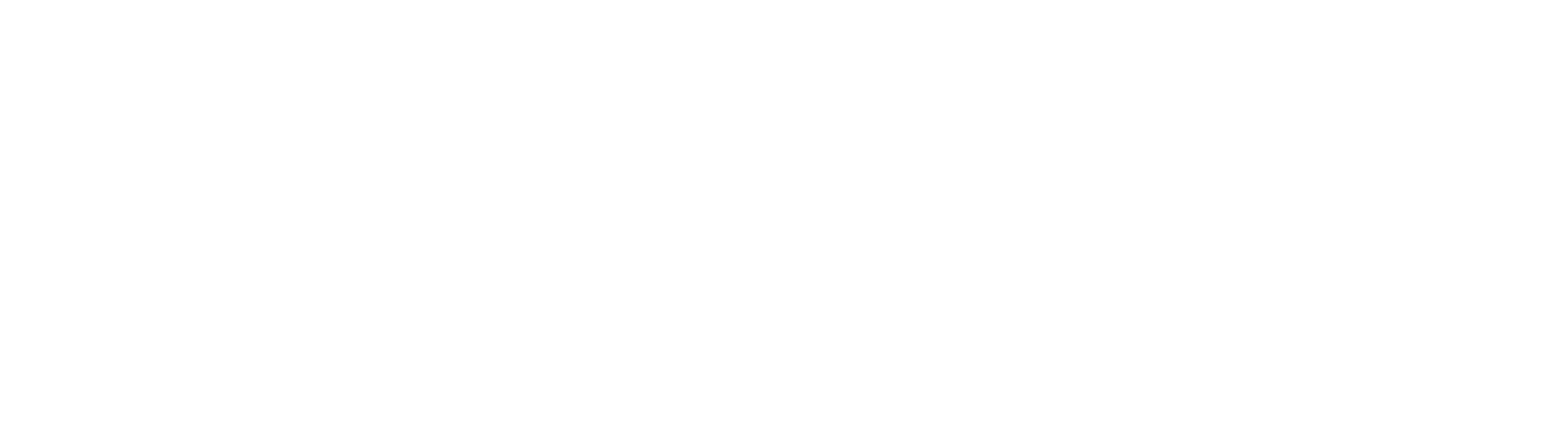 Project 1